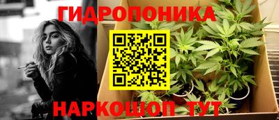 ALPHA-PVP Пыть-Ях