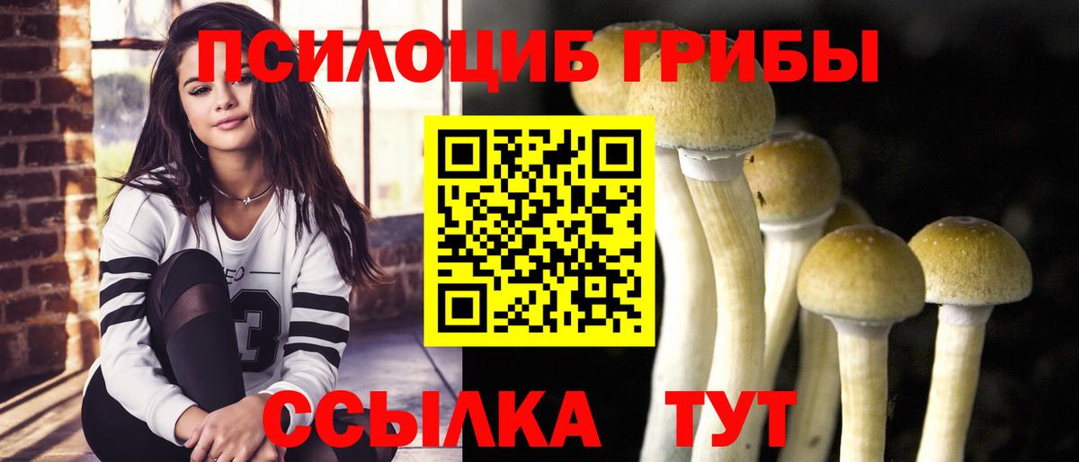 Псилоцибиновые грибы MAGIC MUSHROOMS Октябрьский